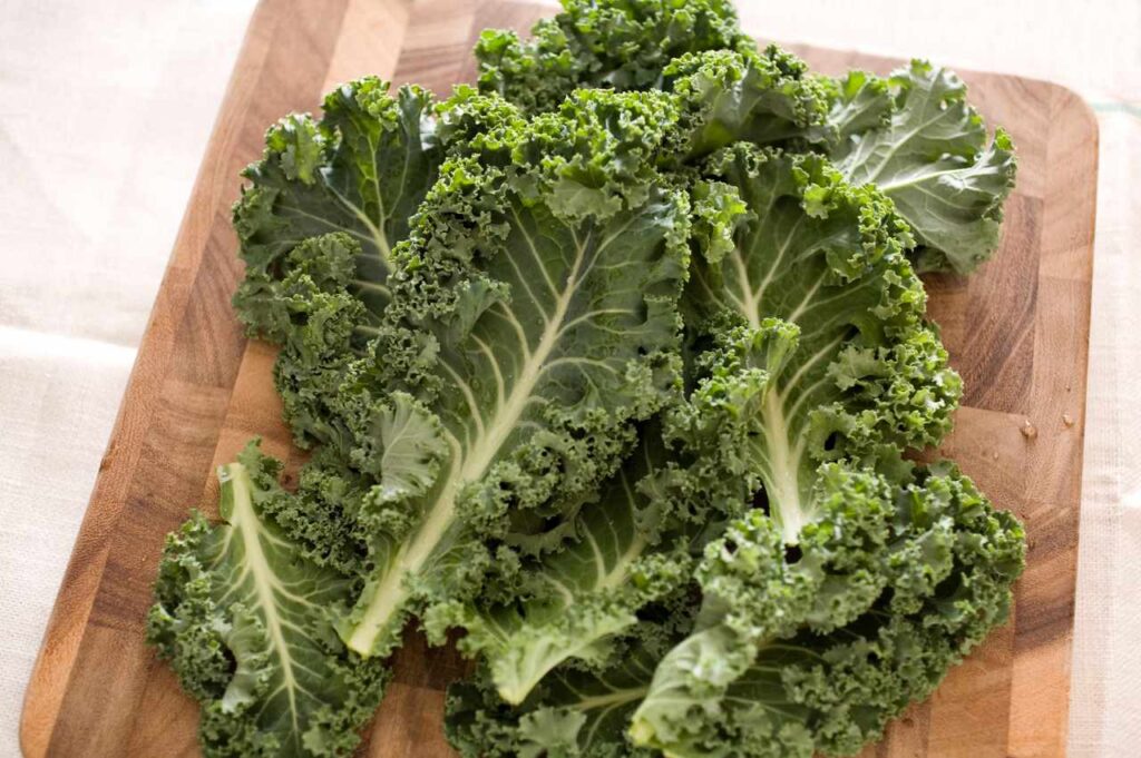 Hvordan dyrke spisskål? How to Grow Kale (Best Tips!)