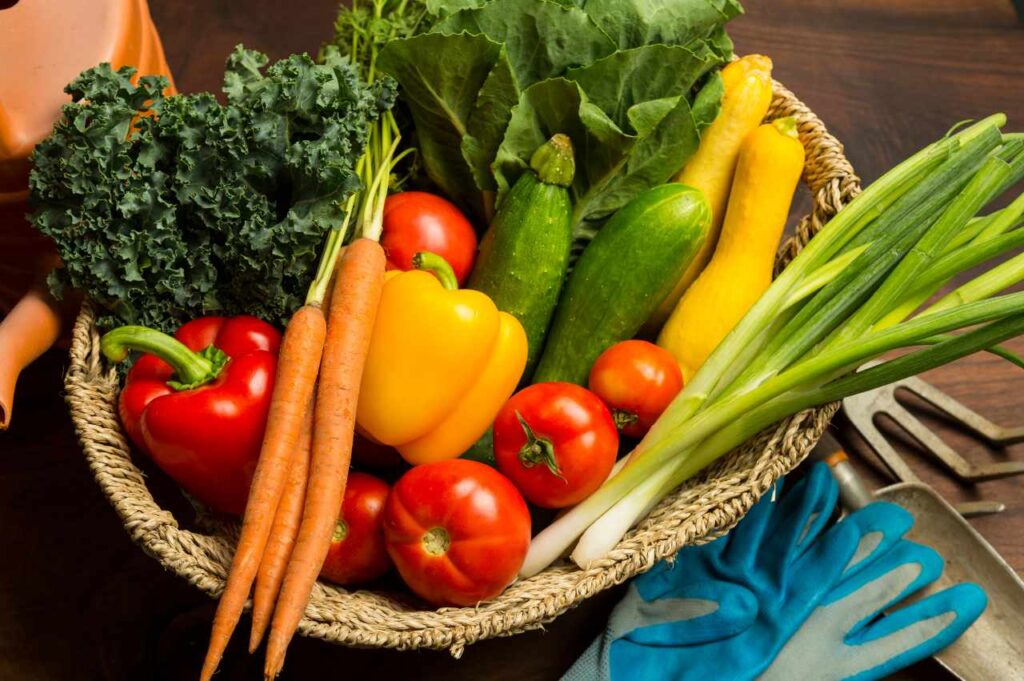Hvordan dyrke grønnsaker (Tips og råd)