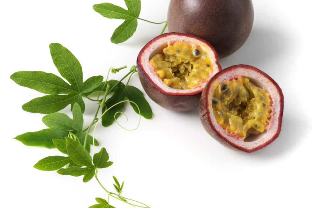 Hvordan dyrke pasjonsfrukt: Tipsene for lykkes Hvordan dyrke pasjonsfrukt (Råd og tips!)