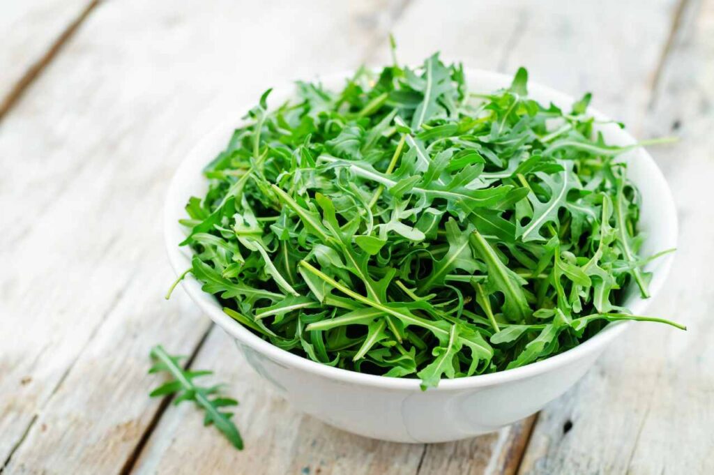 Hvordan høste ruccola: Tips for å dyrke ruccola Hvordan dyrke ruccola (Enkelt!)