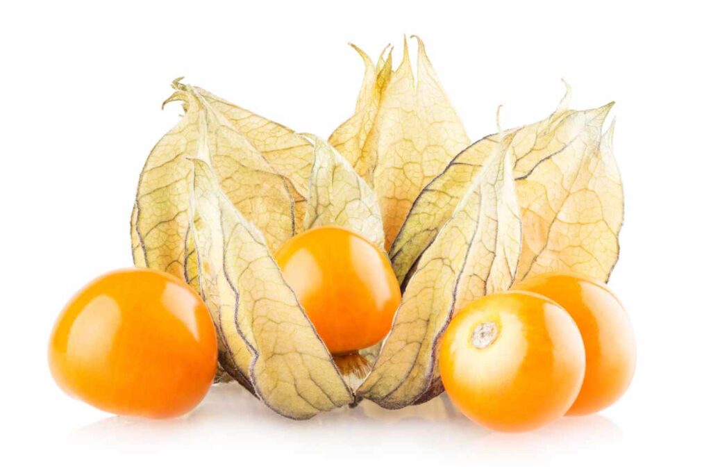 Physalis plante: Såing, høsting og stell Hvordan plante physalis (Full fremgangsmåte!)